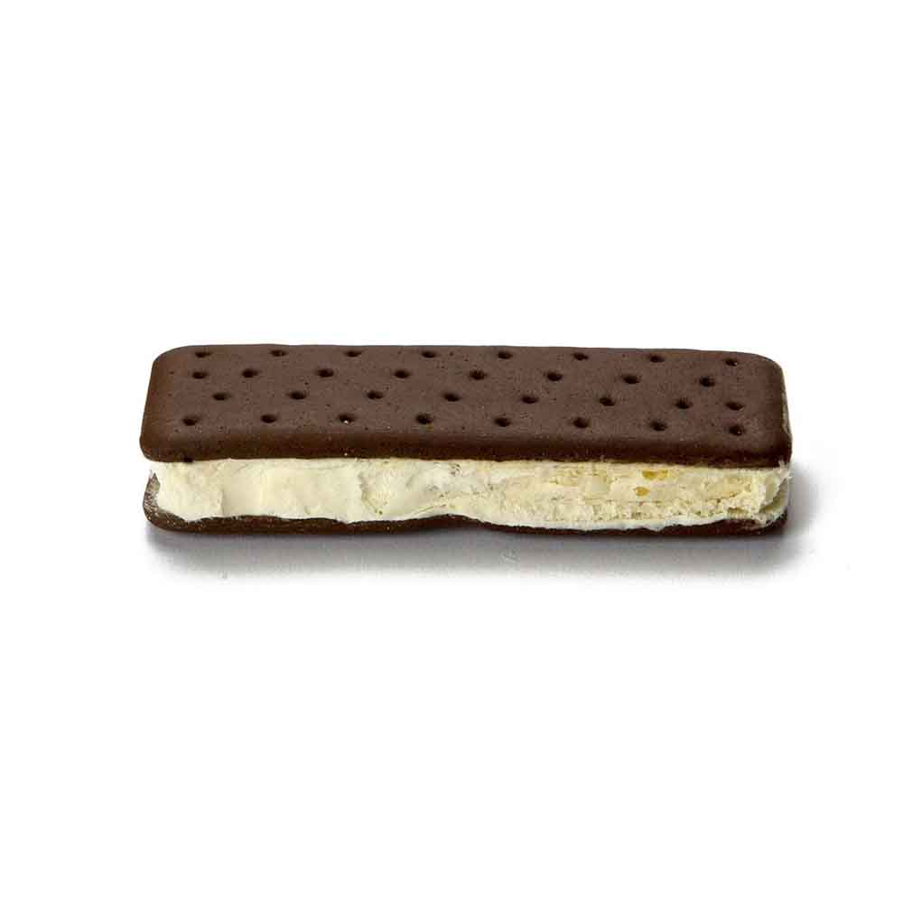 Freeze Dried Snack | Backpacker's Pantry - Vanilla Ice Cream Sandwich